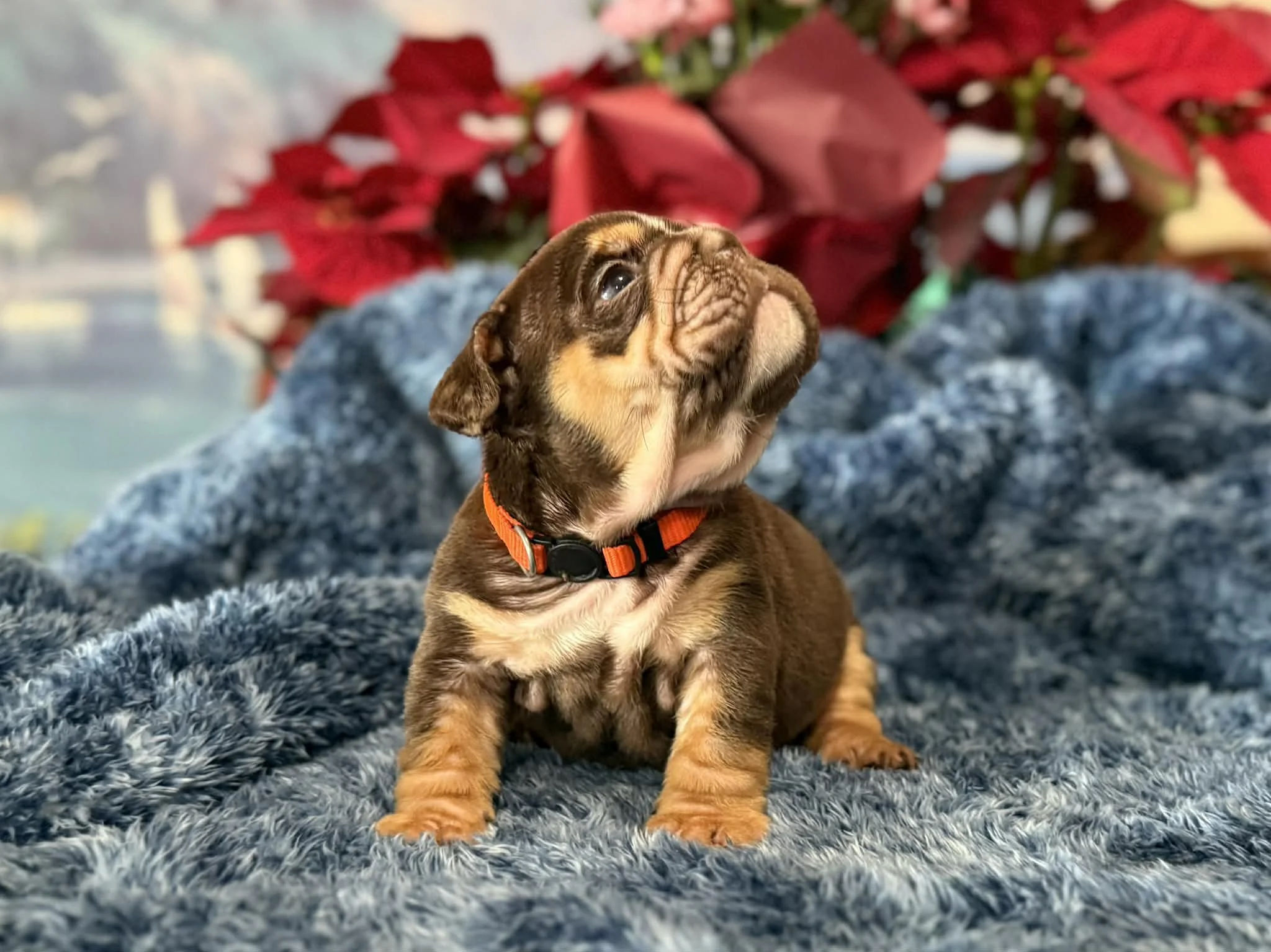 Photo Dec 29 2025, 2 33 08 PM (5).jpg