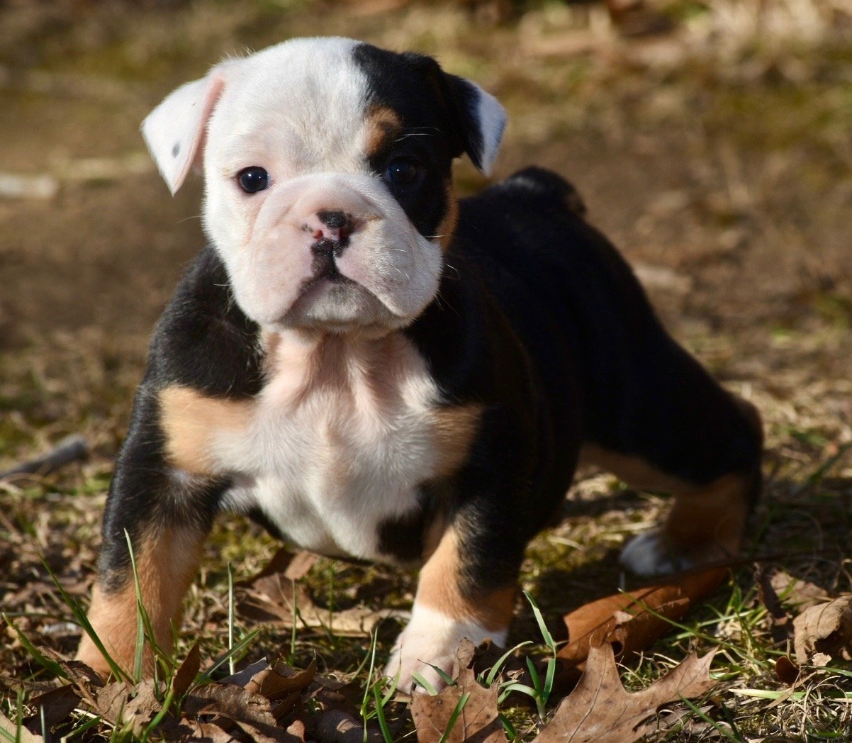 Photo Jan 06 2026, 2 31 54 PM.jpg