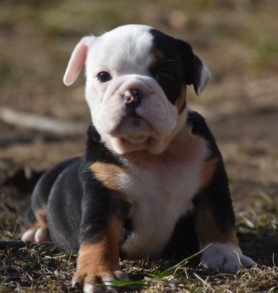 Photo Jan 06 2026, 2 32 22 PM.jpg