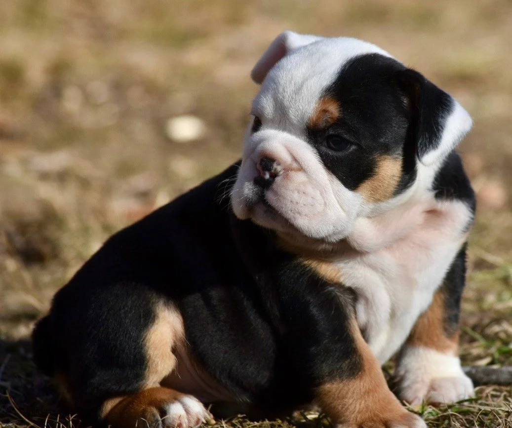 Photo Jan 06 2026, 2 32 40 PM.jpg