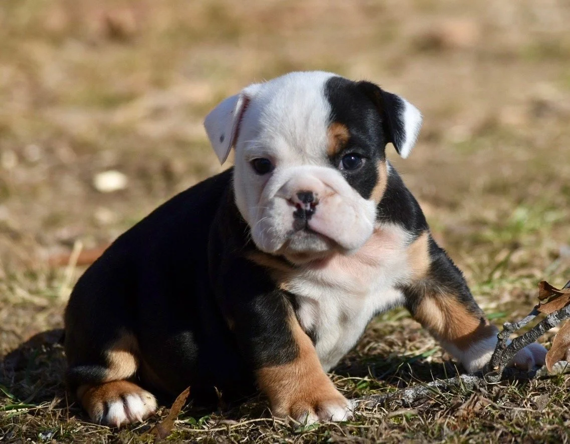 Photo Jan 06 2026, 2 33 11 PM.jpg