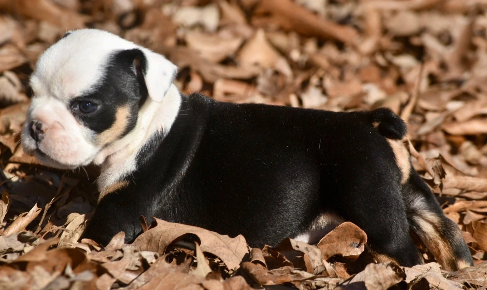 Photo Jan 06 2026, 2 39 38 PM.jpg