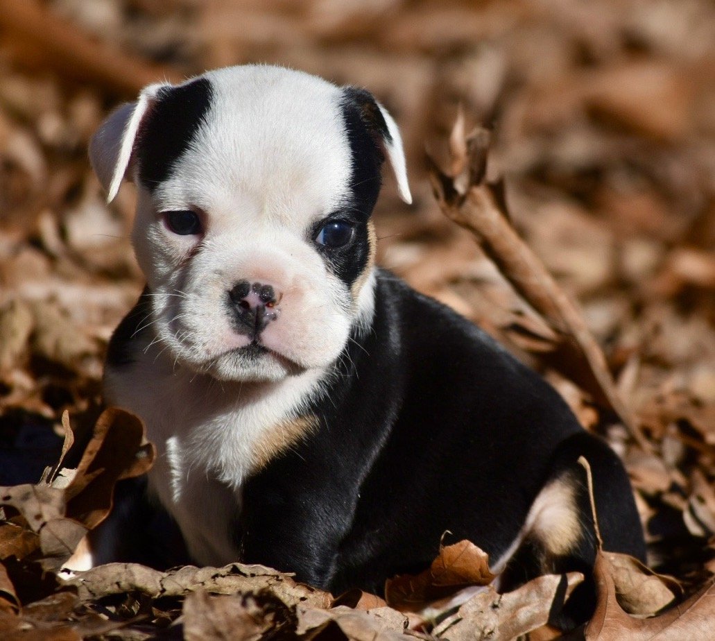 Photo Jan 06 2026, 2 40 18 PM.jpg