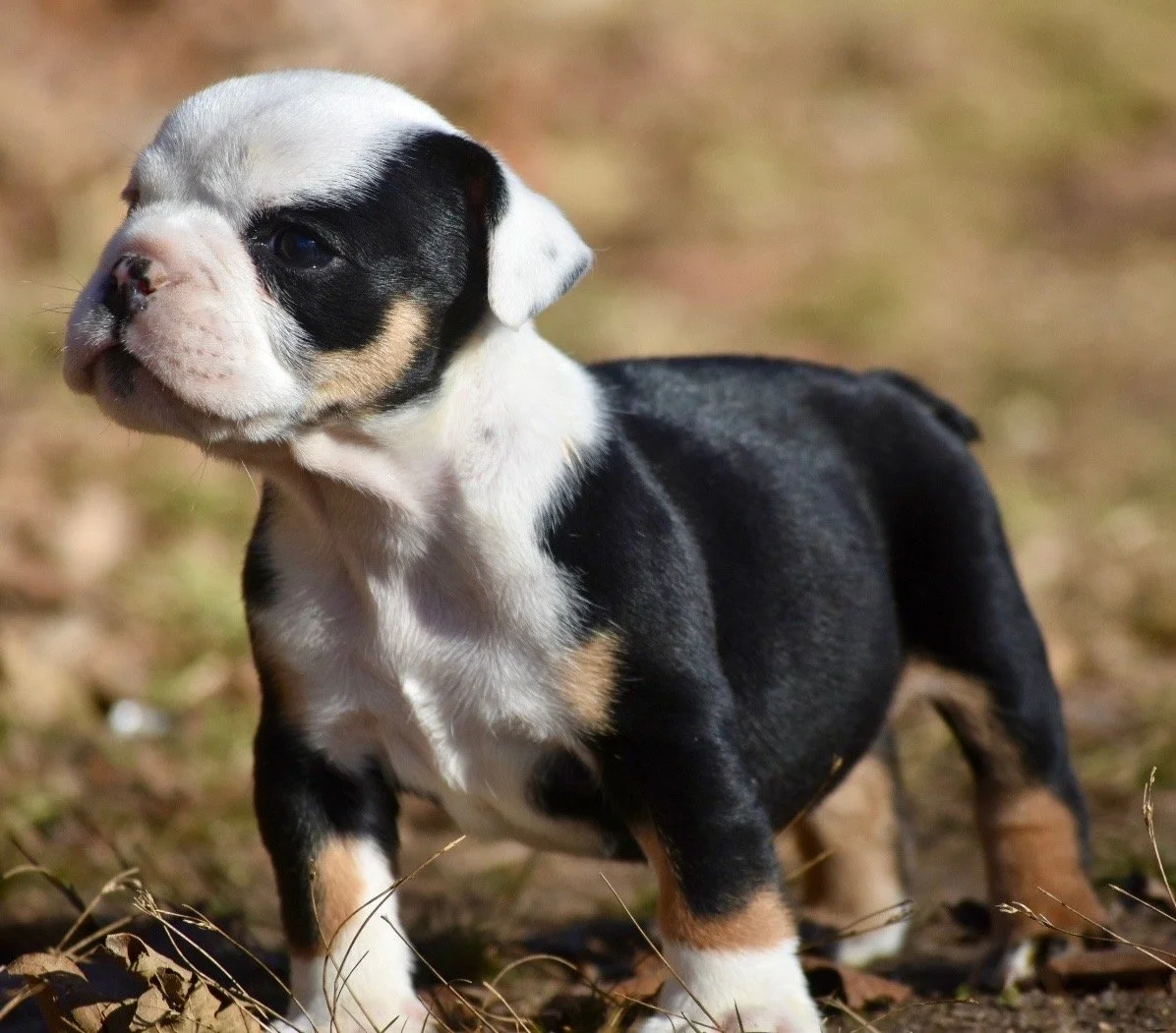 Photo Jan 06 2026, 2 41 07 PM.jpg