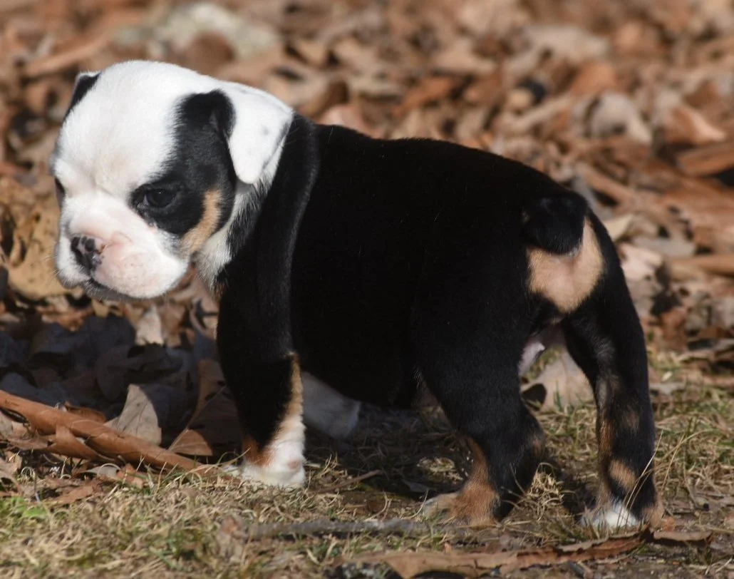 Photo Jan 06 2026, 2 42 03 PM.jpg