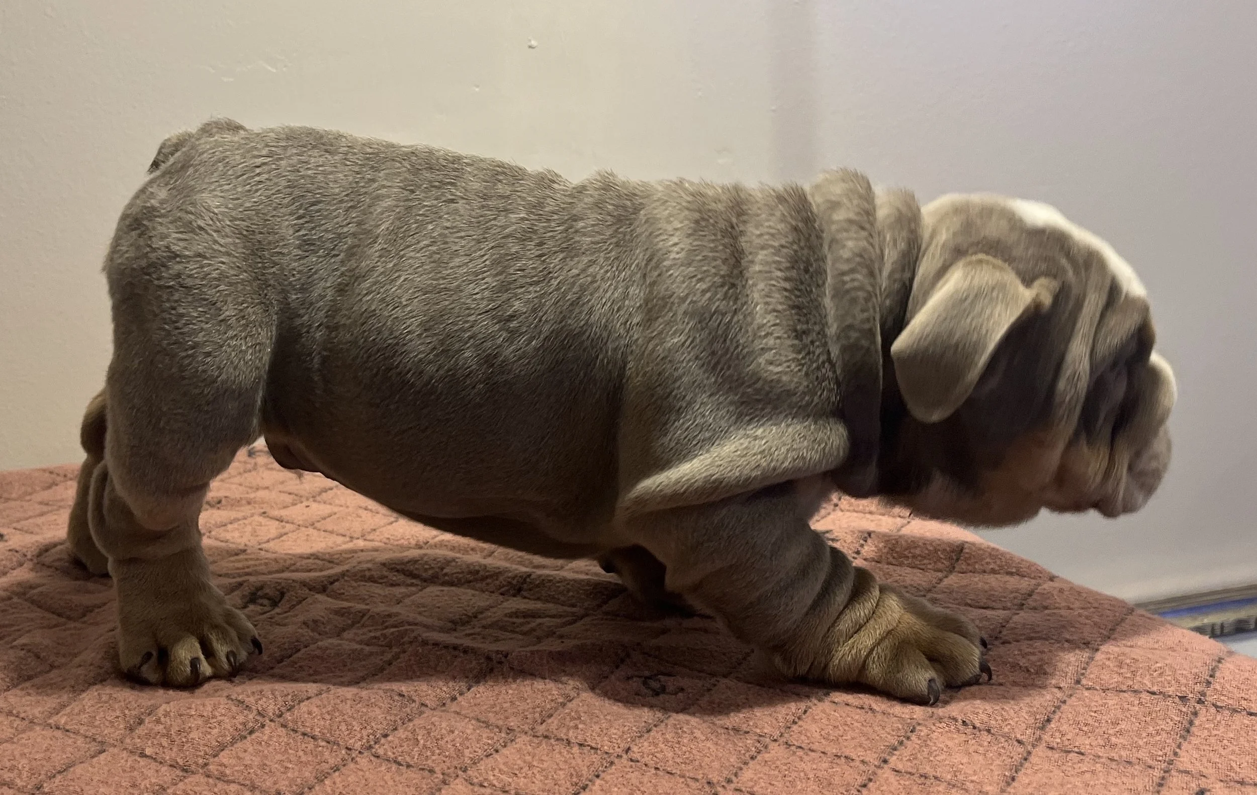 Photo Jan 18 2026, 7 27 12 PM (1).jpg