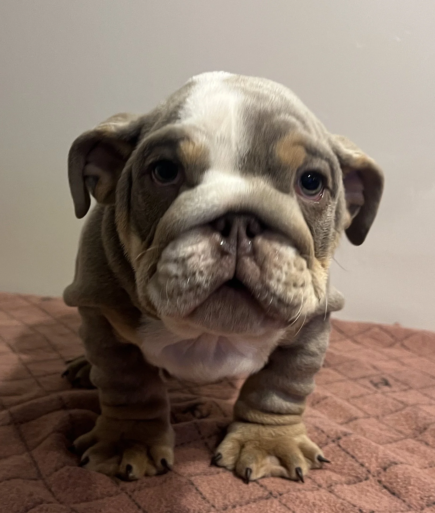 Photo Jan 18 2026, 7 37 21 PM.jpg