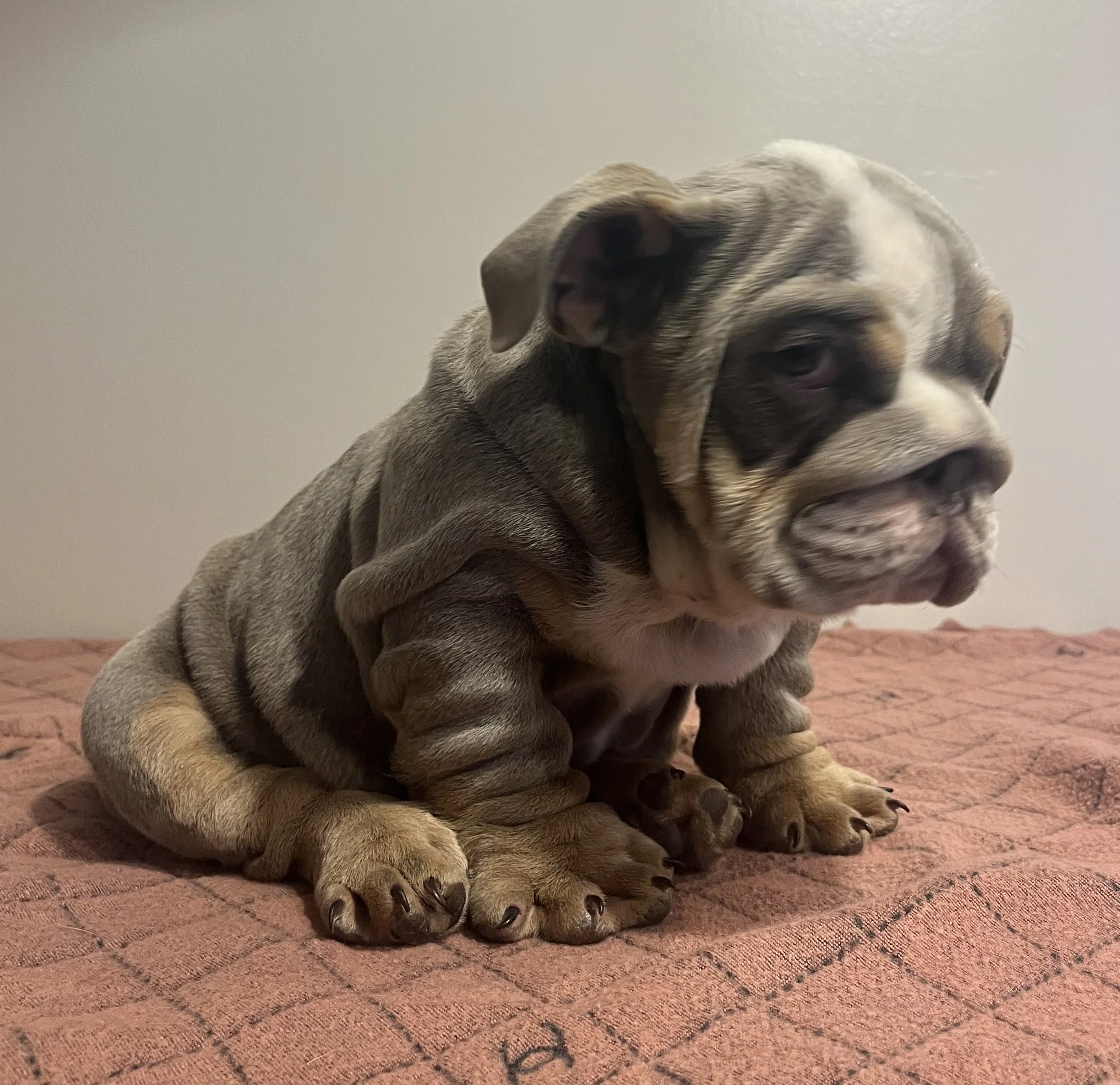 Photo Jan 18 2026, 7 42 48 PM.jpg