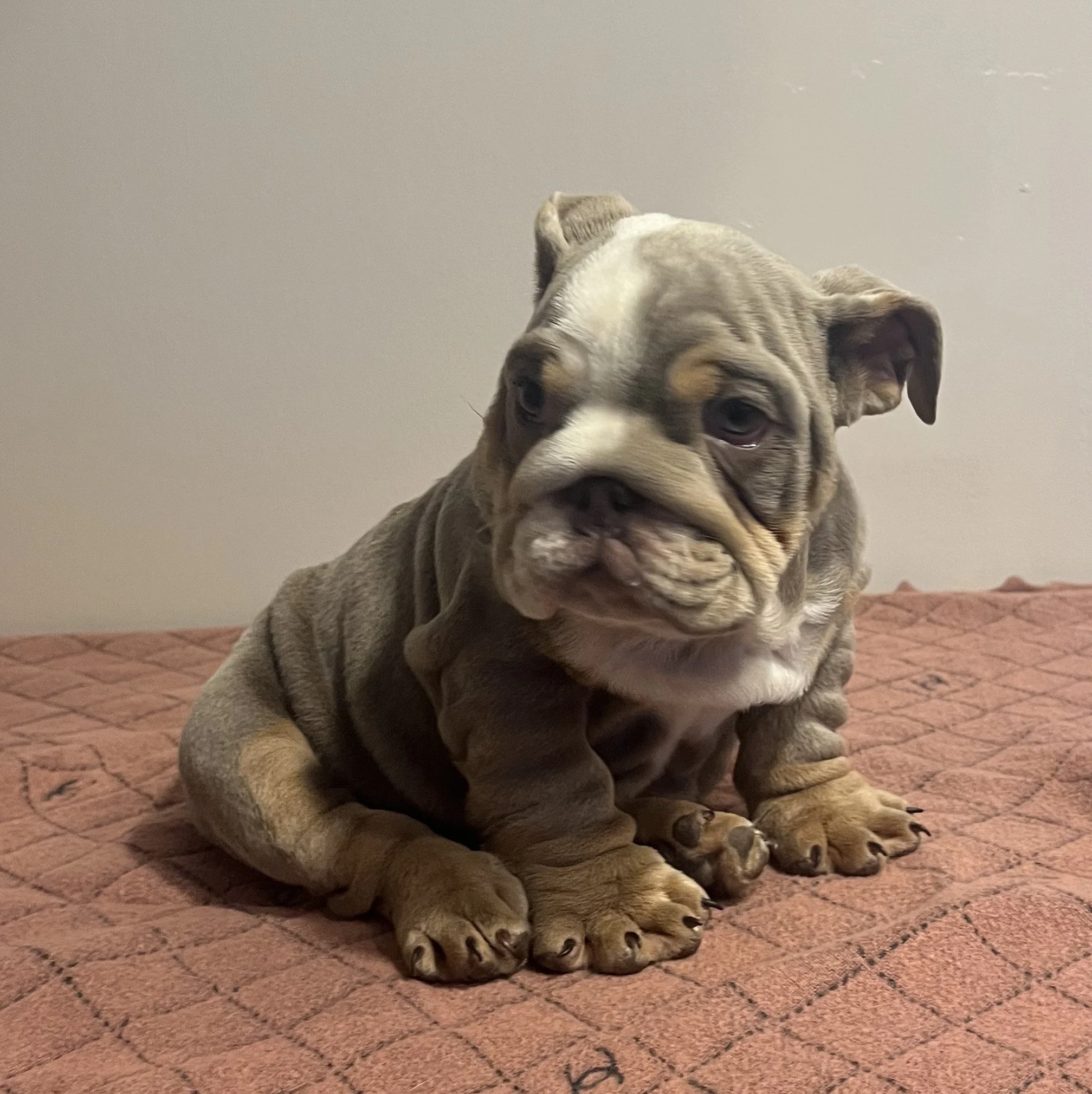 Photo Jan 18 2026, 7 42 52 PM.jpg