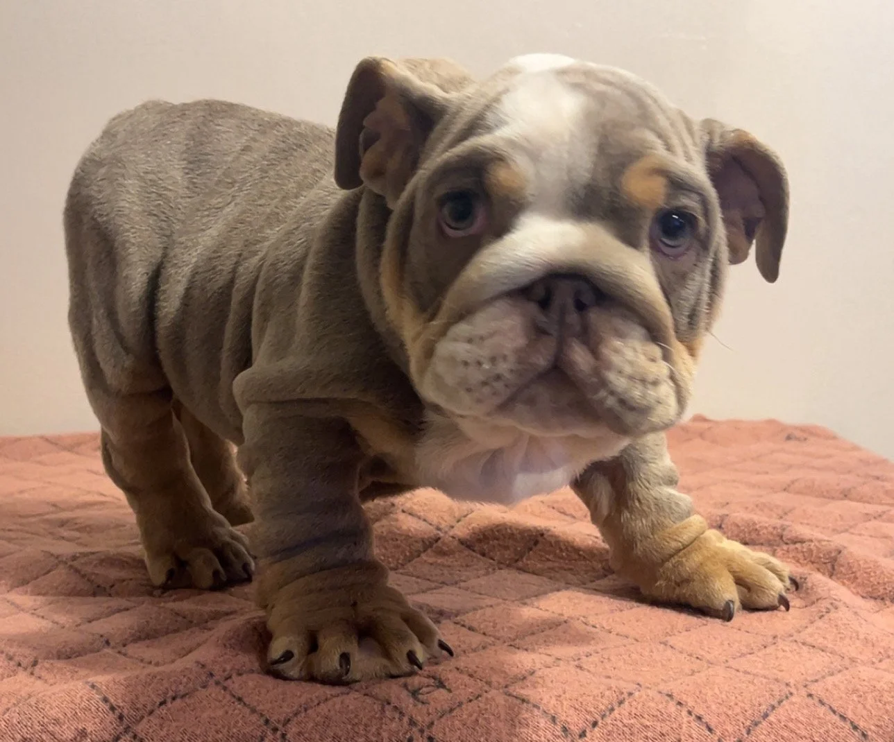 Photo Jan 19 2026, 3 42 07 PM (1).jpg