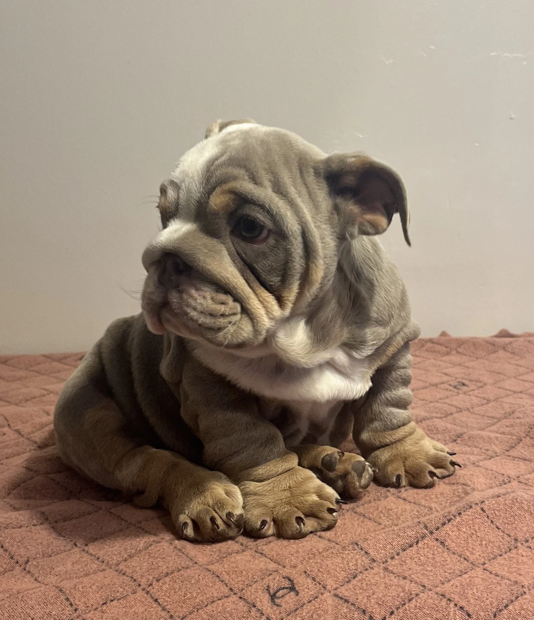 Photo Jan 18 2026, 7 42 53 PM.jpg