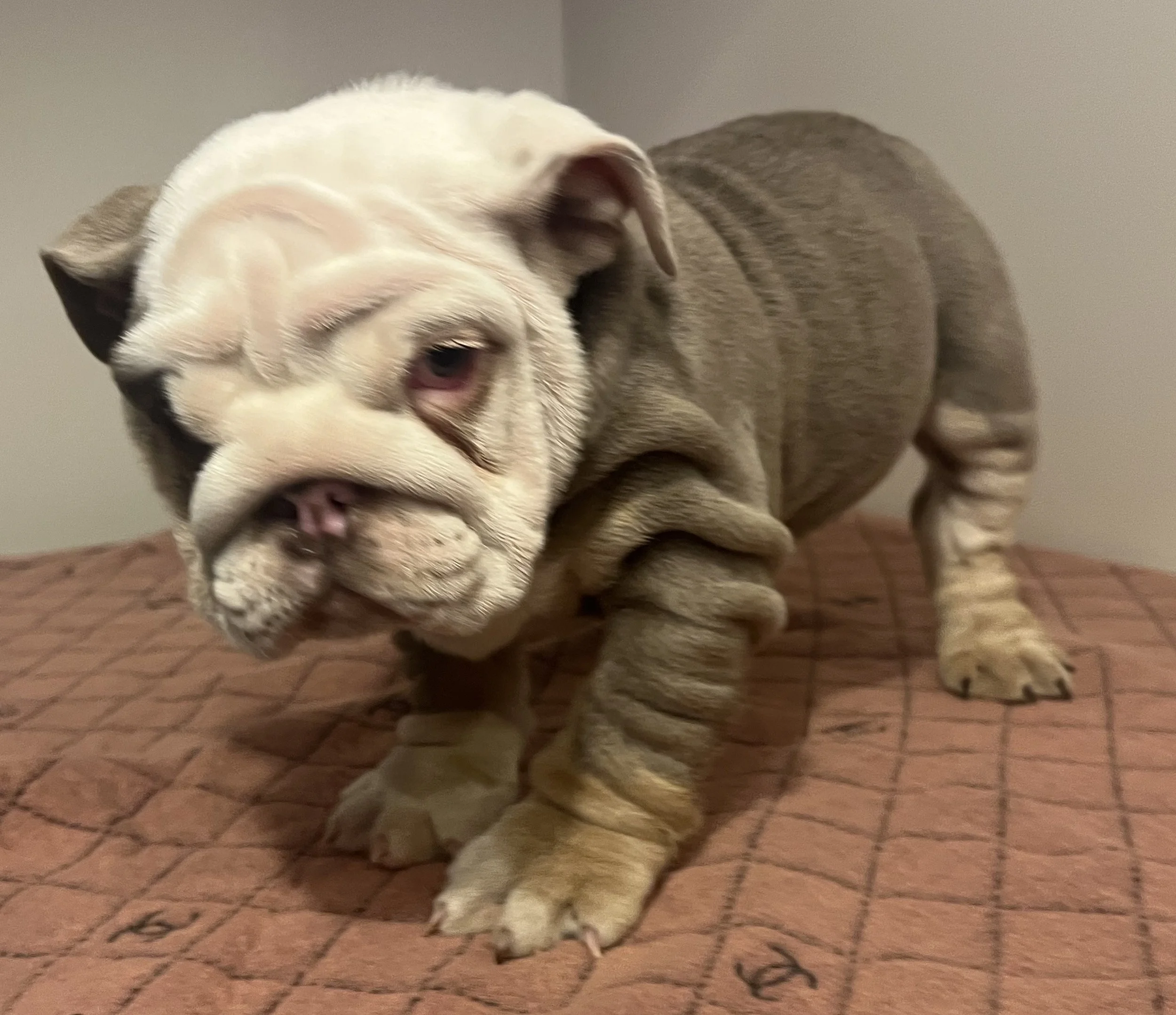 Photo Jan 18 2026, 7 46 41 PM.jpg