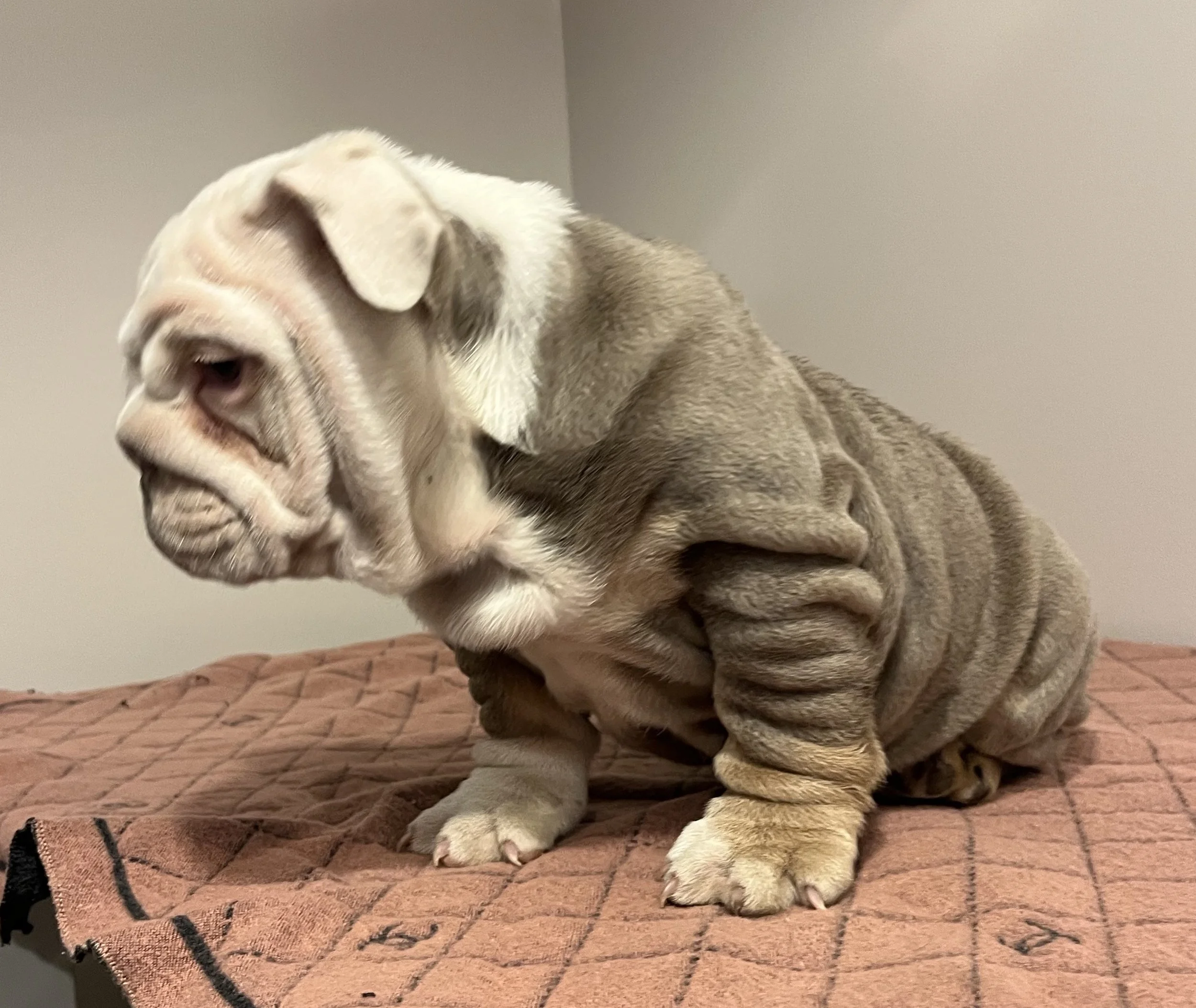 Photo Jan 18 2026, 7 47 30 PM.jpg