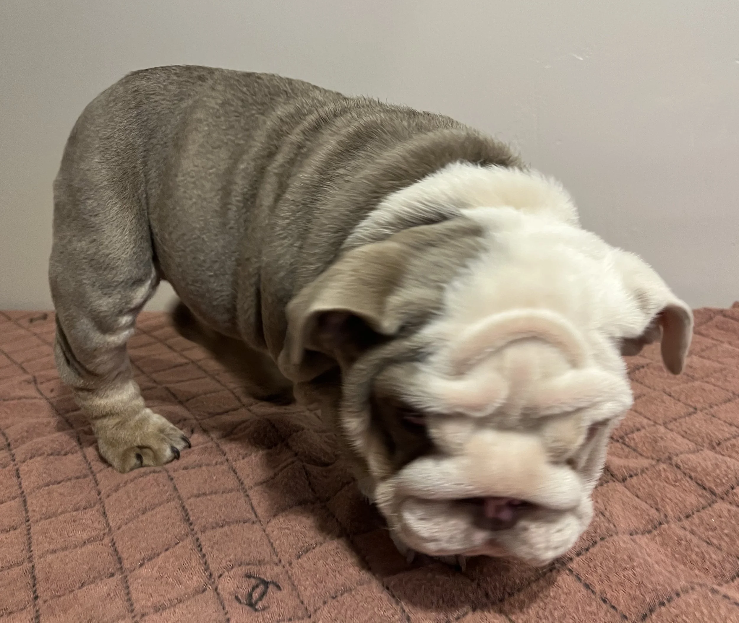 Photo Jan 18 2026, 7 49 22 PM.jpg