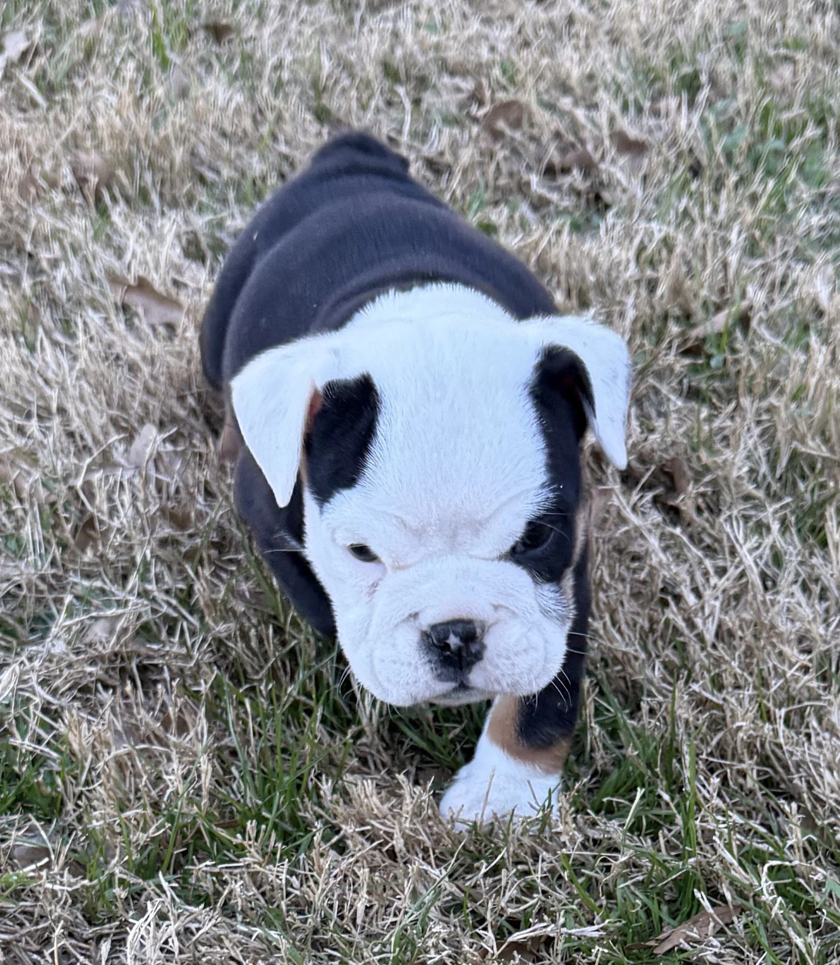 Photo Jan 15 2026, 4 20 26 PM.jpg