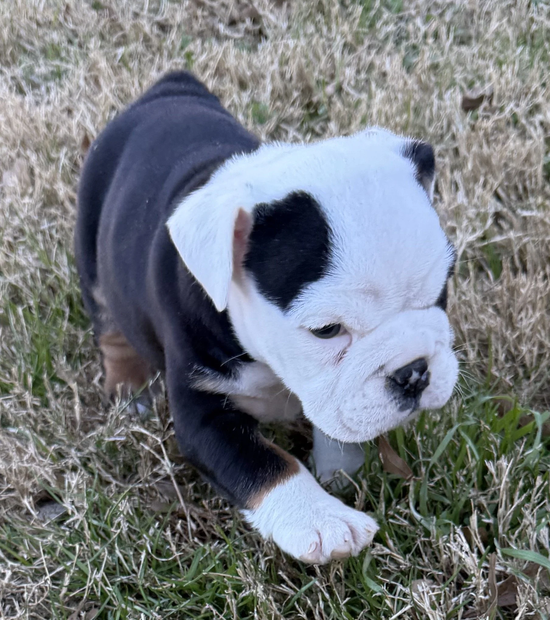 Photo Jan 15 2026, 4 20 27 PM.jpg