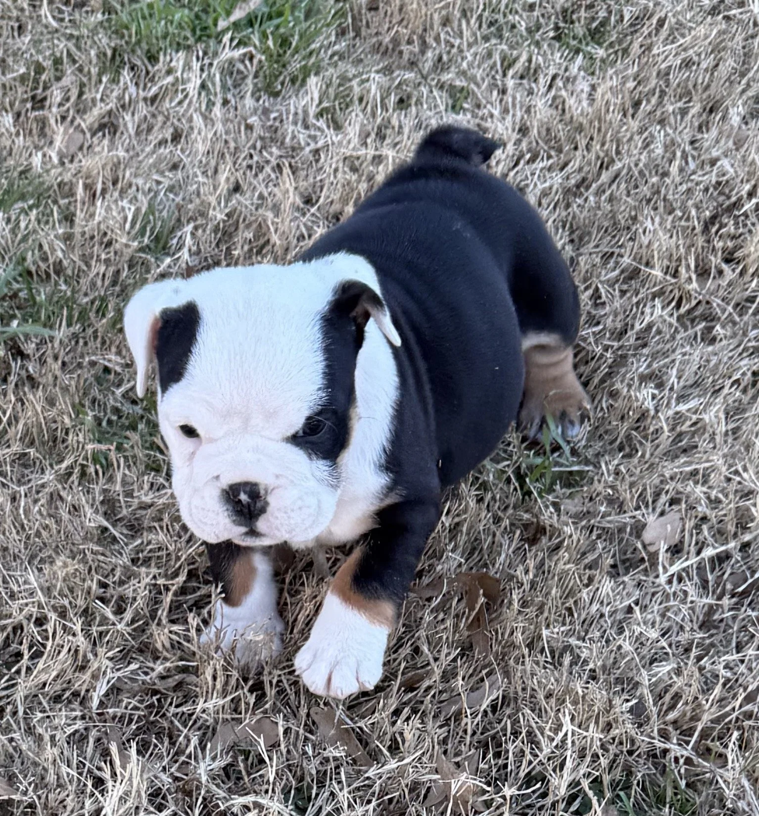 Photo Jan 15 2026, 4 20 36 PM.jpg