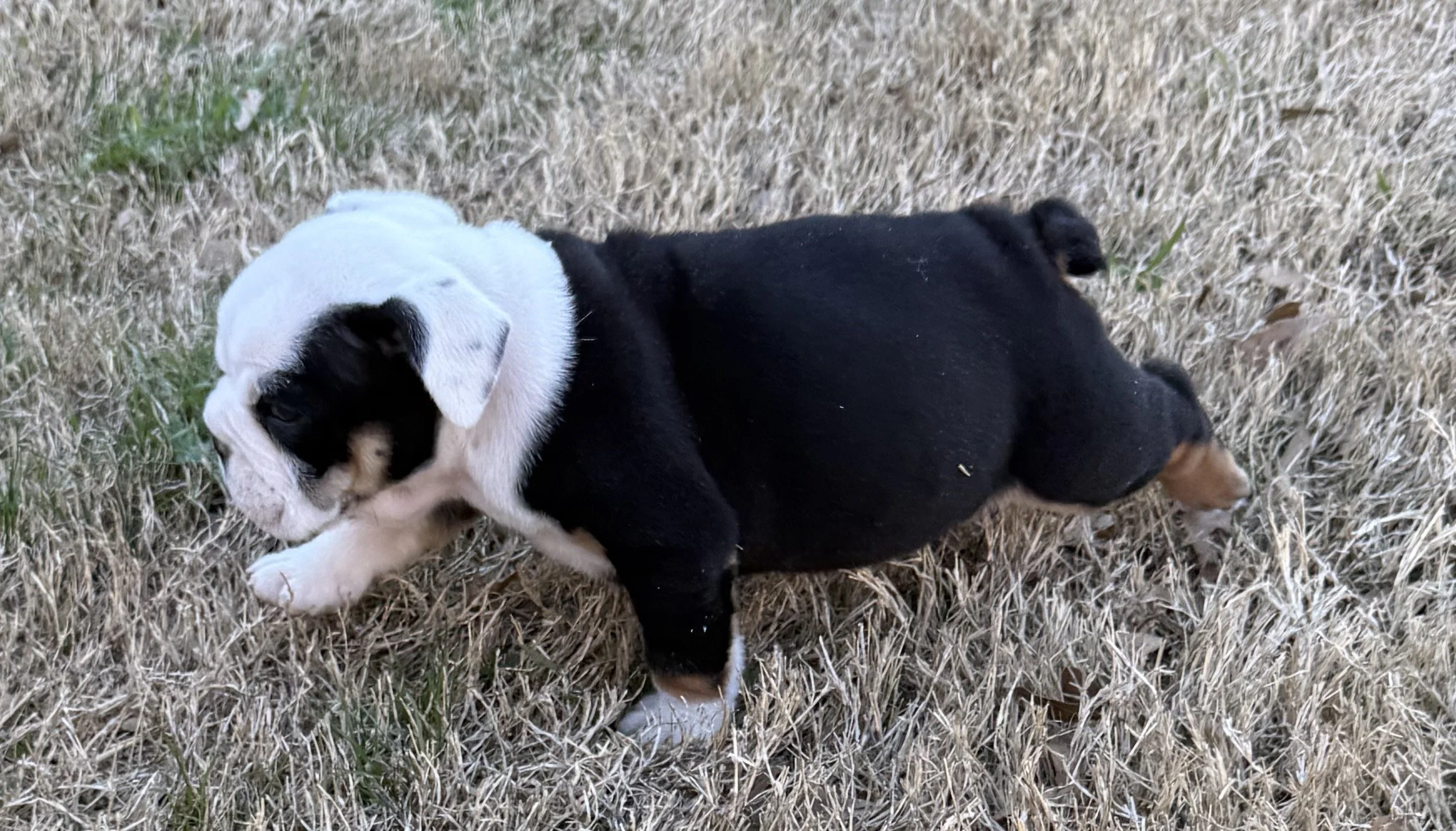 Photo Jan 15 2026, 4 20 46 PM.jpg