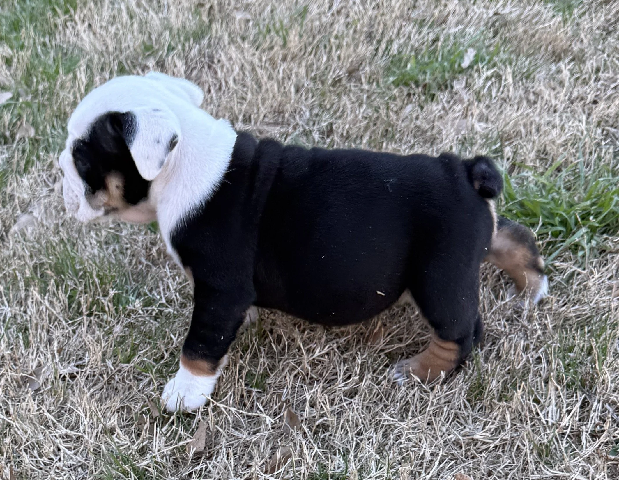 Photo Jan 15 2026, 4 20 47 PM.jpg