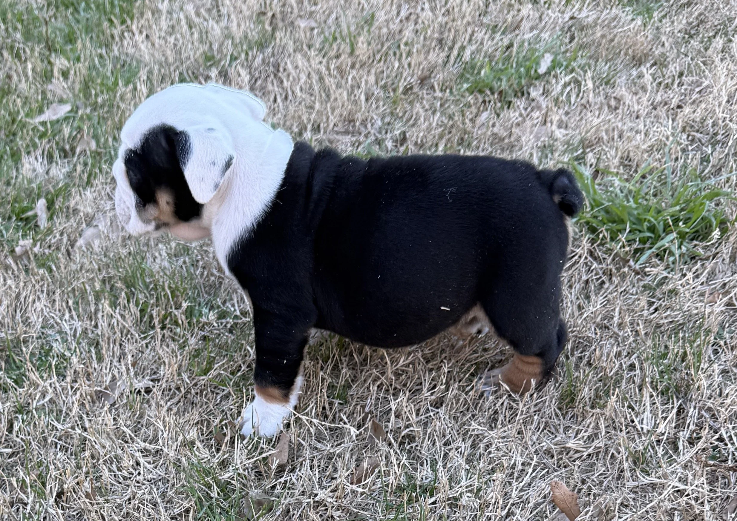 Photo Jan 15 2026, 4 20 48 PM.jpg