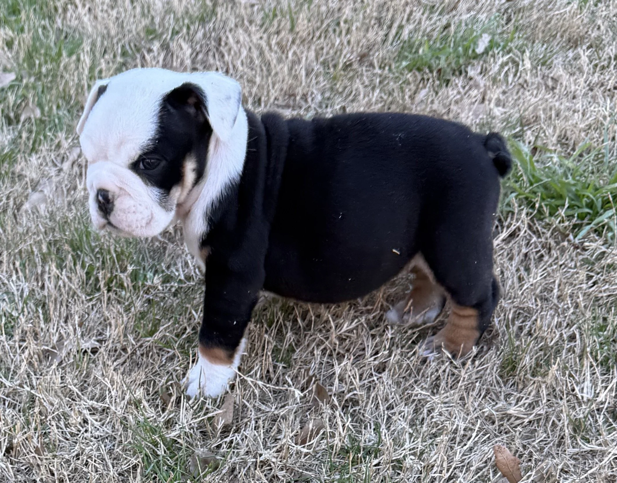 Photo Jan 15 2026, 4 20 49 PM.jpg