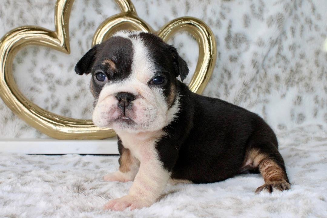 Photo Jan 21 2026, 9 55 12 PM (2).jpg