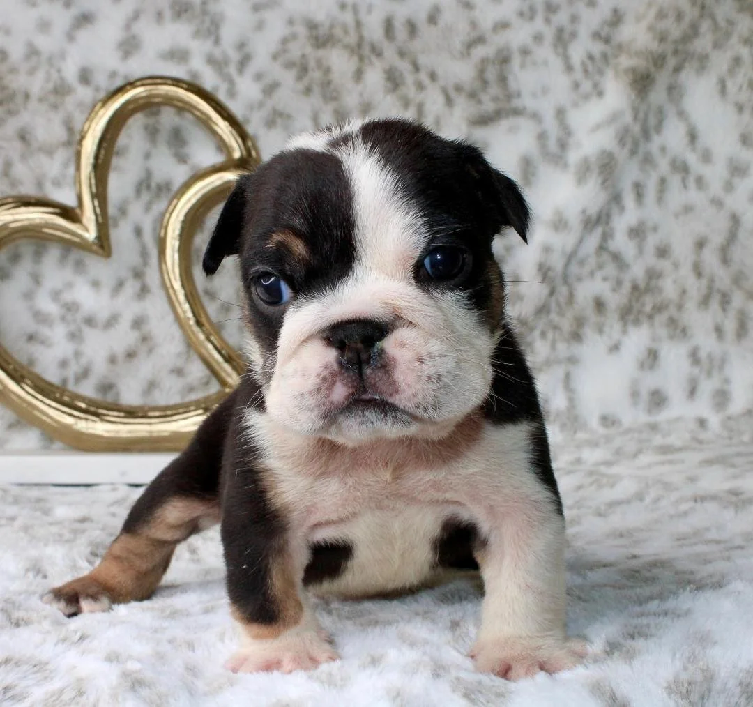 Photo Jan 21 2026, 9 55 12 PM (1).jpg