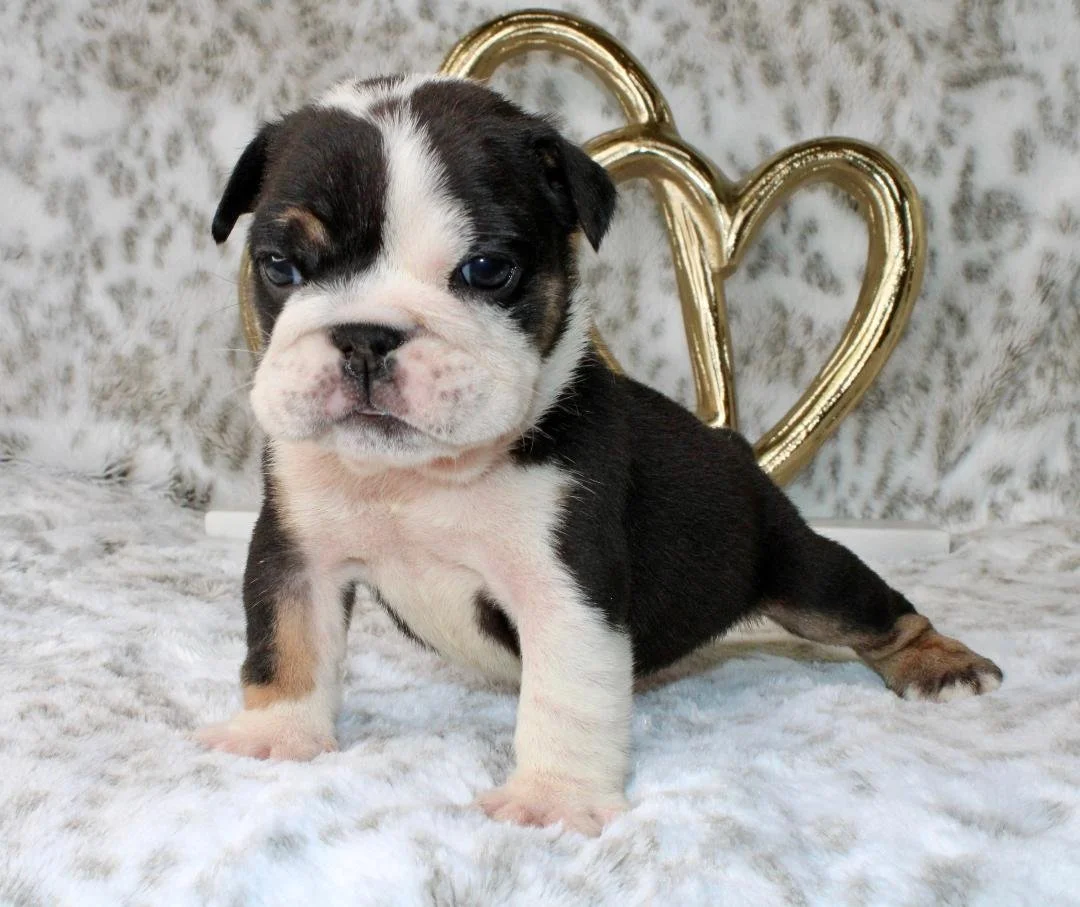 Photo Jan 21 2026, 9 55 12 PM (3).jpg