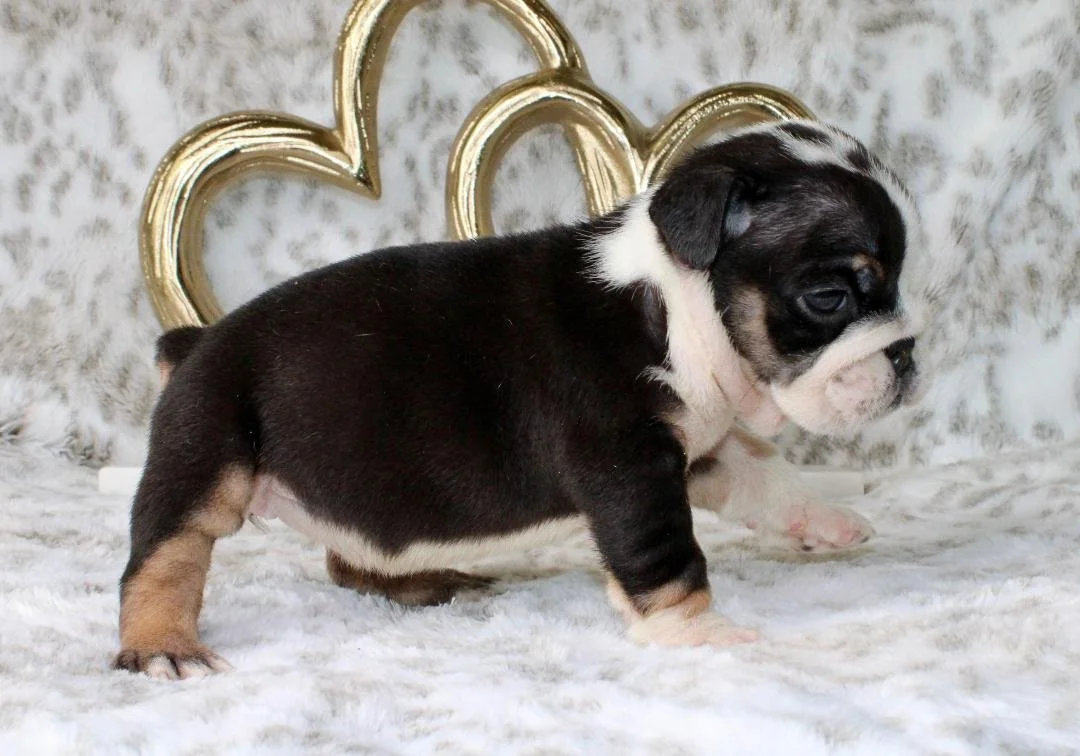 Photo Jan 21 2026, 9 55 12 PM.jpg