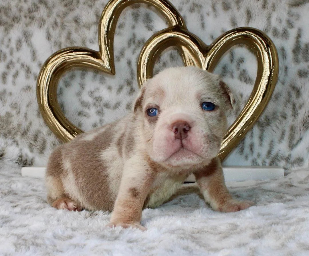 Photo Jan 21 2026, 9 56 16 PM (2).jpg