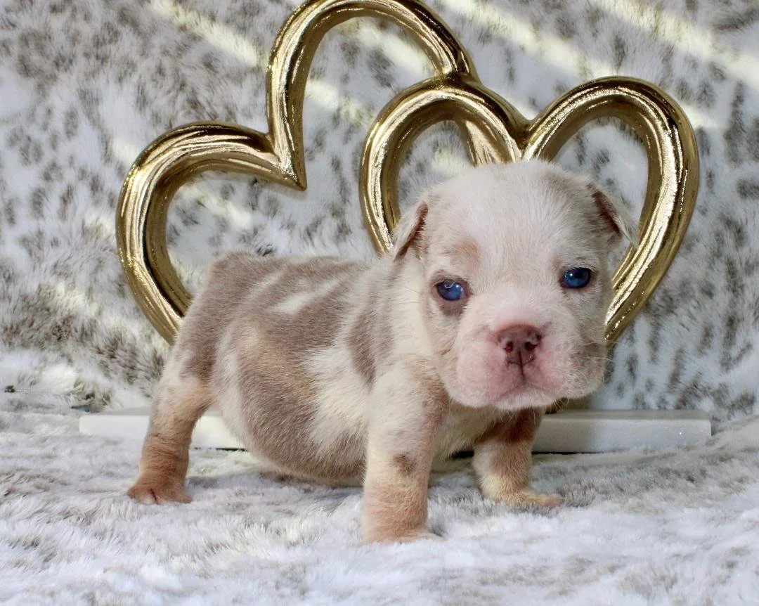 Photo Jan 21 2026, 9 56 16 PM (1).jpg