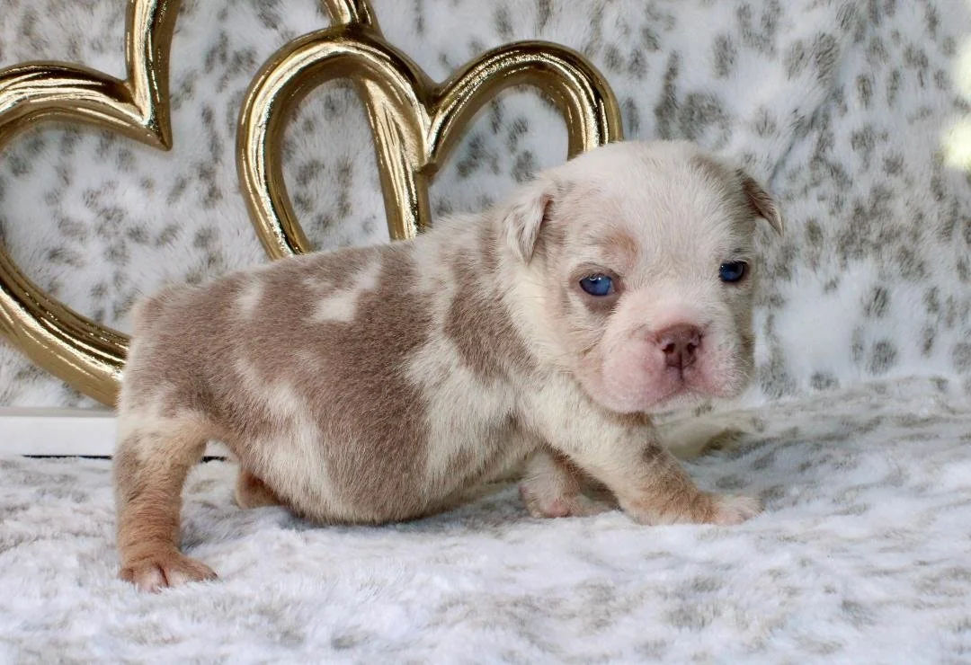 Photo Jan 21 2026, 9 56 16 PM (3).jpg