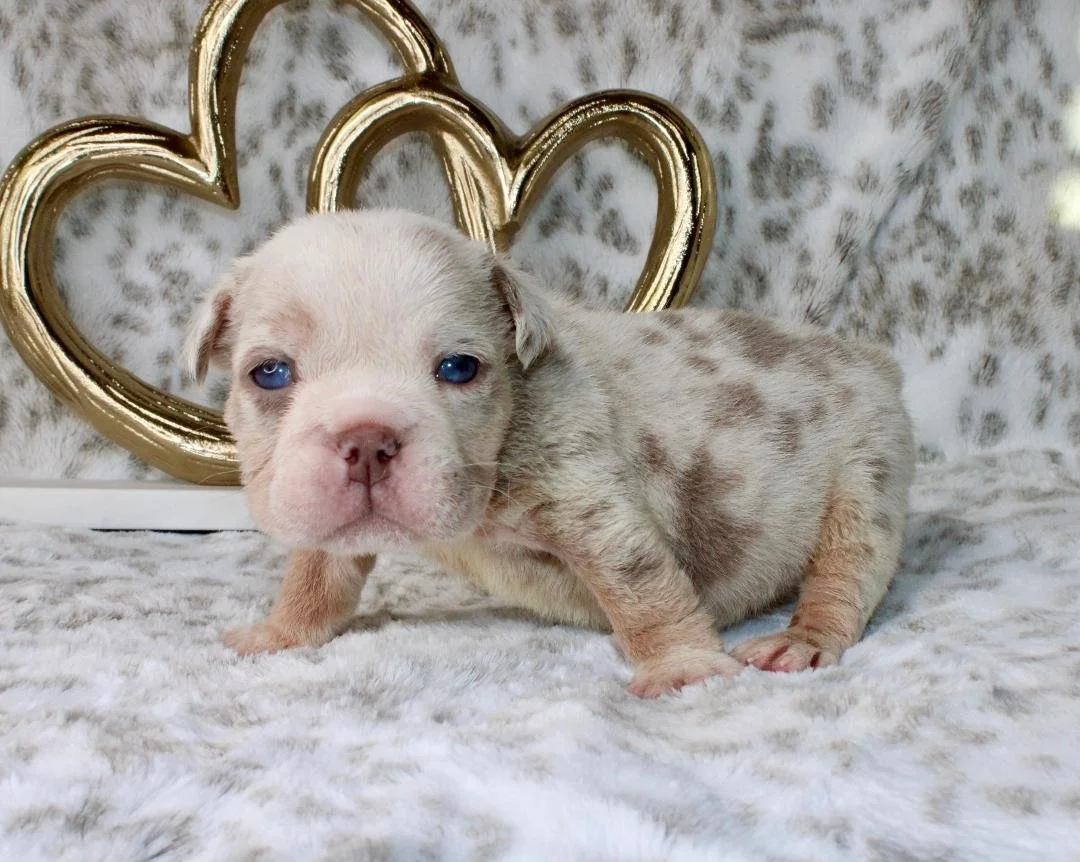 Photo Jan 21 2026, 9 56 16 PM.jpg