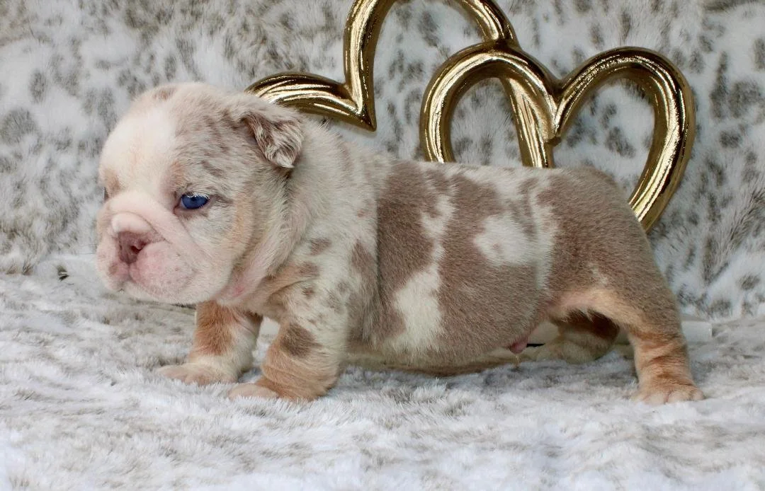 Photo Jan 21 2026, 9 54 02 PM (1).jpg