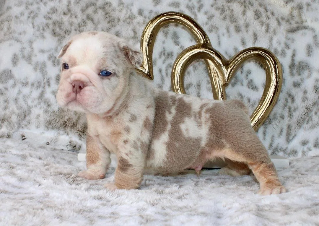 Photo Jan 21 2026, 9 54 02 PM (5).jpg