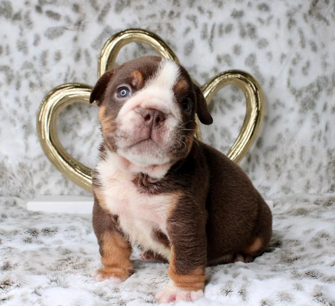 Photo Jan 21 2026, 9 47 47 PM (2).jpg