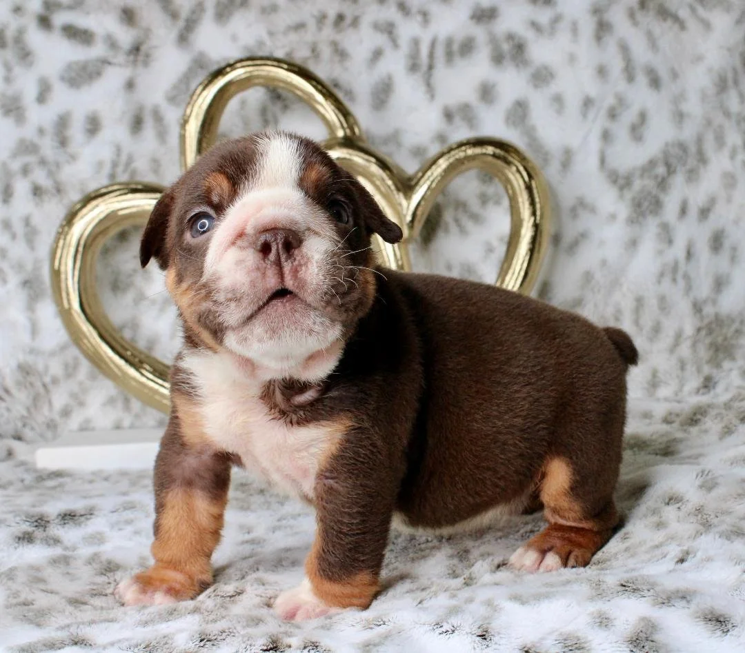 Photo Jan 21 2026, 9 47 47 PM (1).jpg