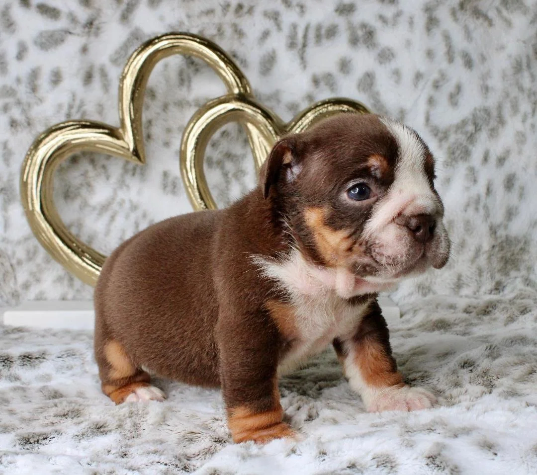 Photo Jan 21 2026, 9 47 47 PM (3).jpg