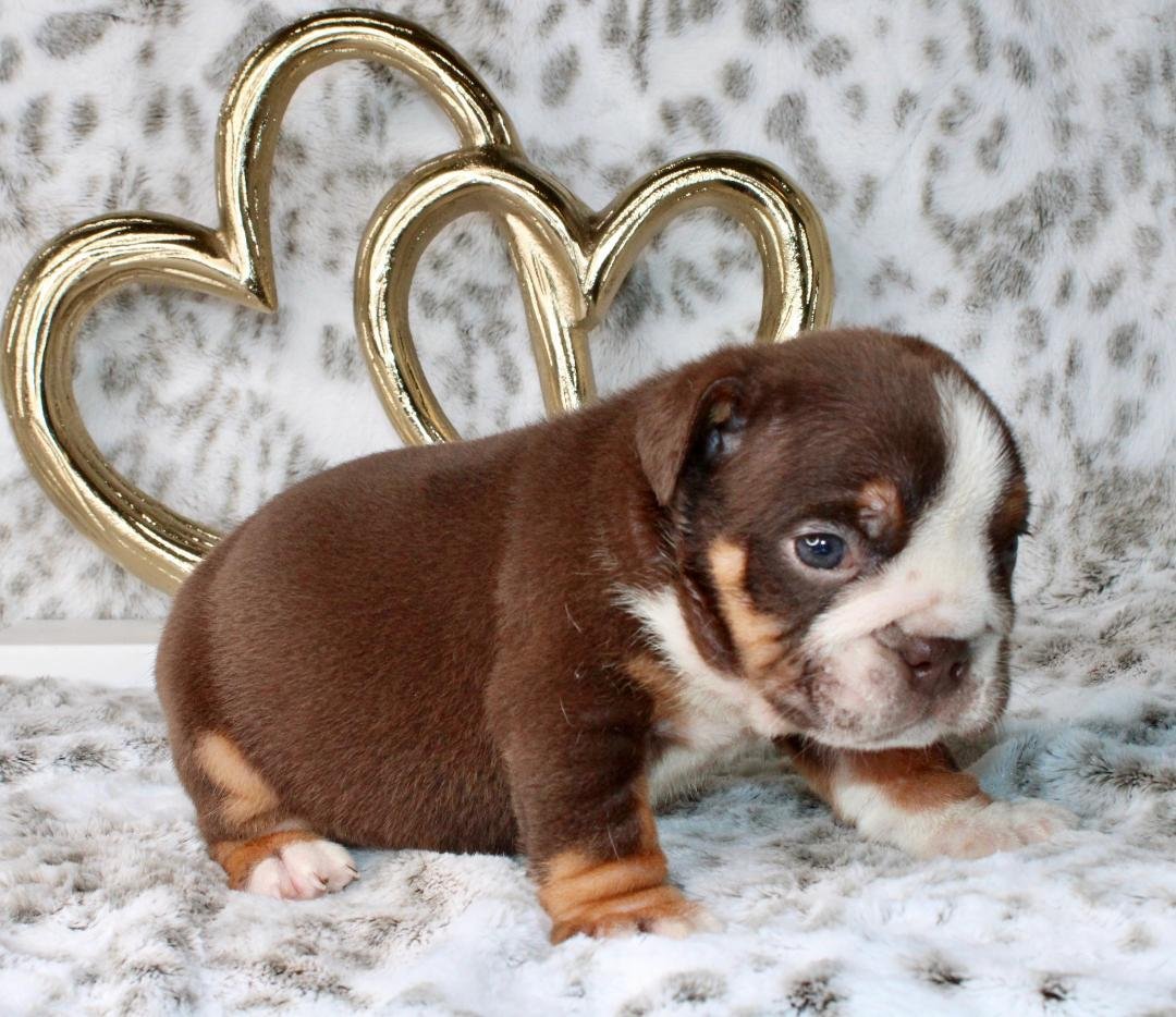 Photo Jan 21 2026, 9 47 47 PM (4).jpg