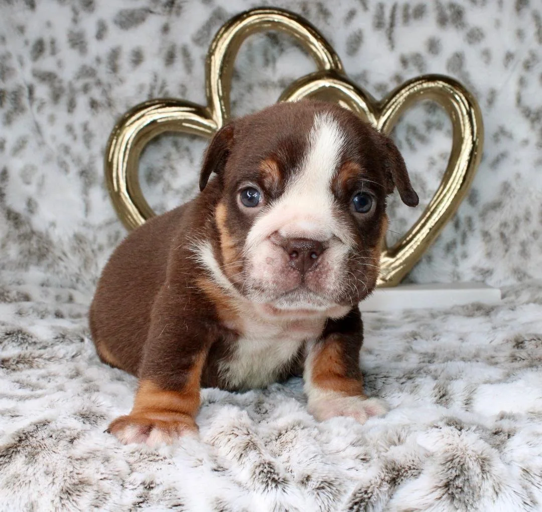 Photo Jan 21 2026, 9 47 47 PM (5).jpg