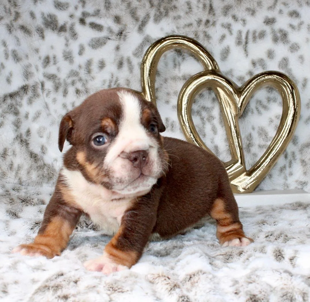 Photo Jan 21 2026, 9 47 47 PM (6).jpg