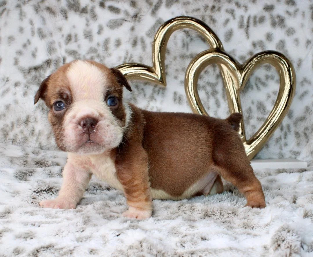 Photo Jan 21 2026, 9 34 14 PM (1).jpg