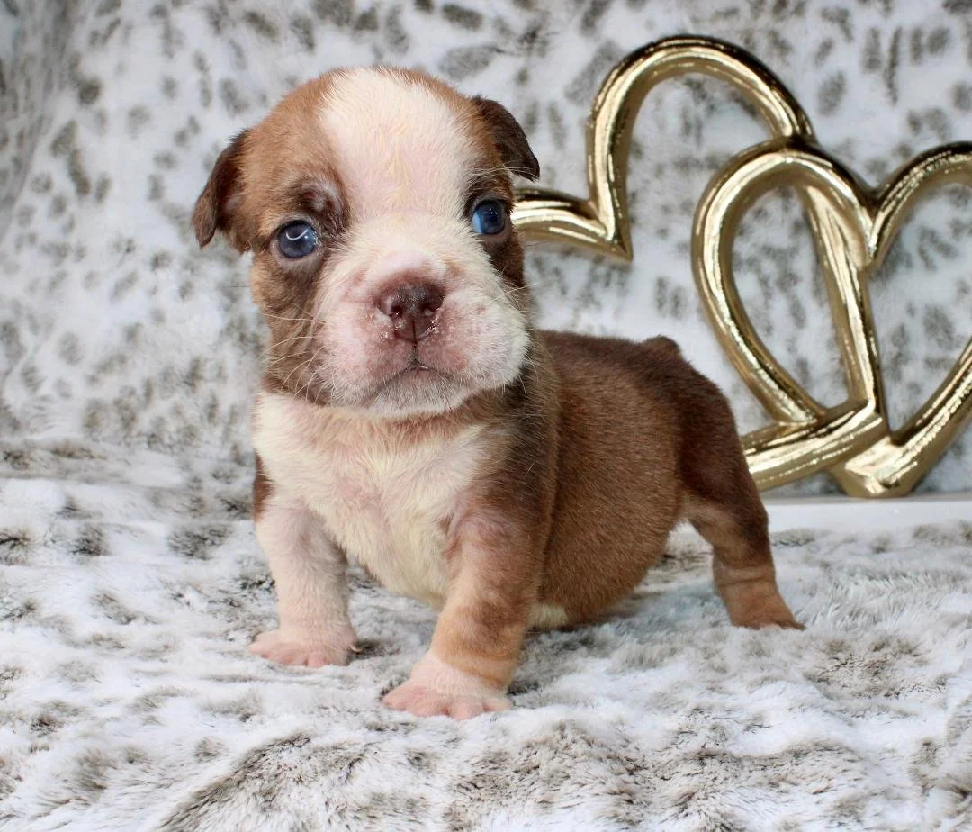 Photo Jan 21 2026, 9 34 14 PM (2).jpg