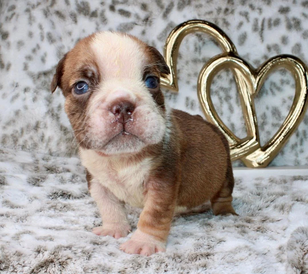 Photo Jan 21 2026, 9 34 14 PM (4).jpg