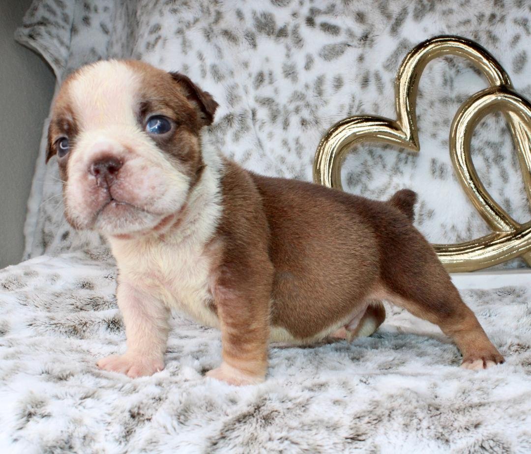 Photo Jan 21 2026, 9 34 14 PM (5).jpg