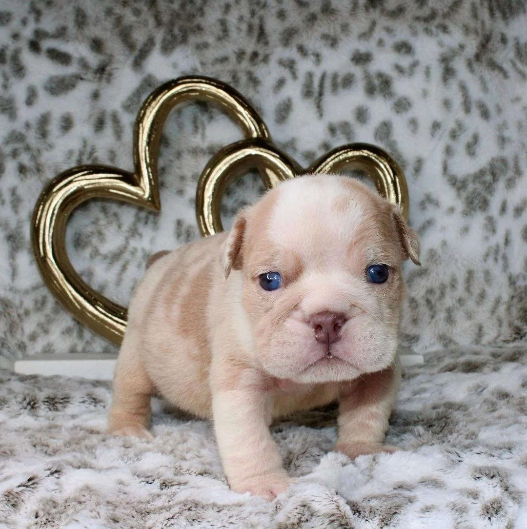 Photo Jan 21 2026, 9 41 19 PM (1).jpg