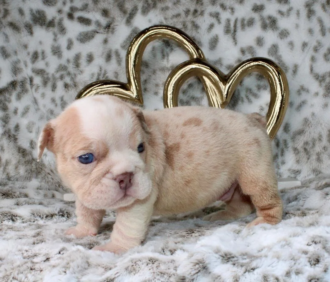 Photo Jan 21 2026, 9 41 19 PM (2).jpg