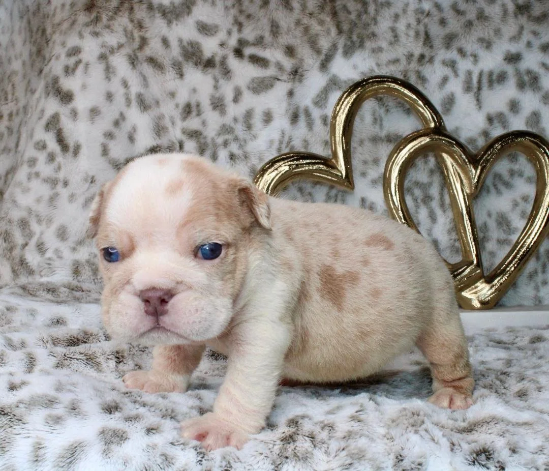 Photo Jan 21 2026, 9 41 19 PM (4).jpg