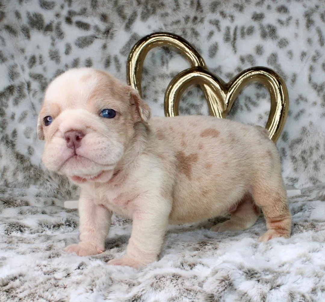 Photo Jan 21 2026, 9 41 19 PM (5).jpg