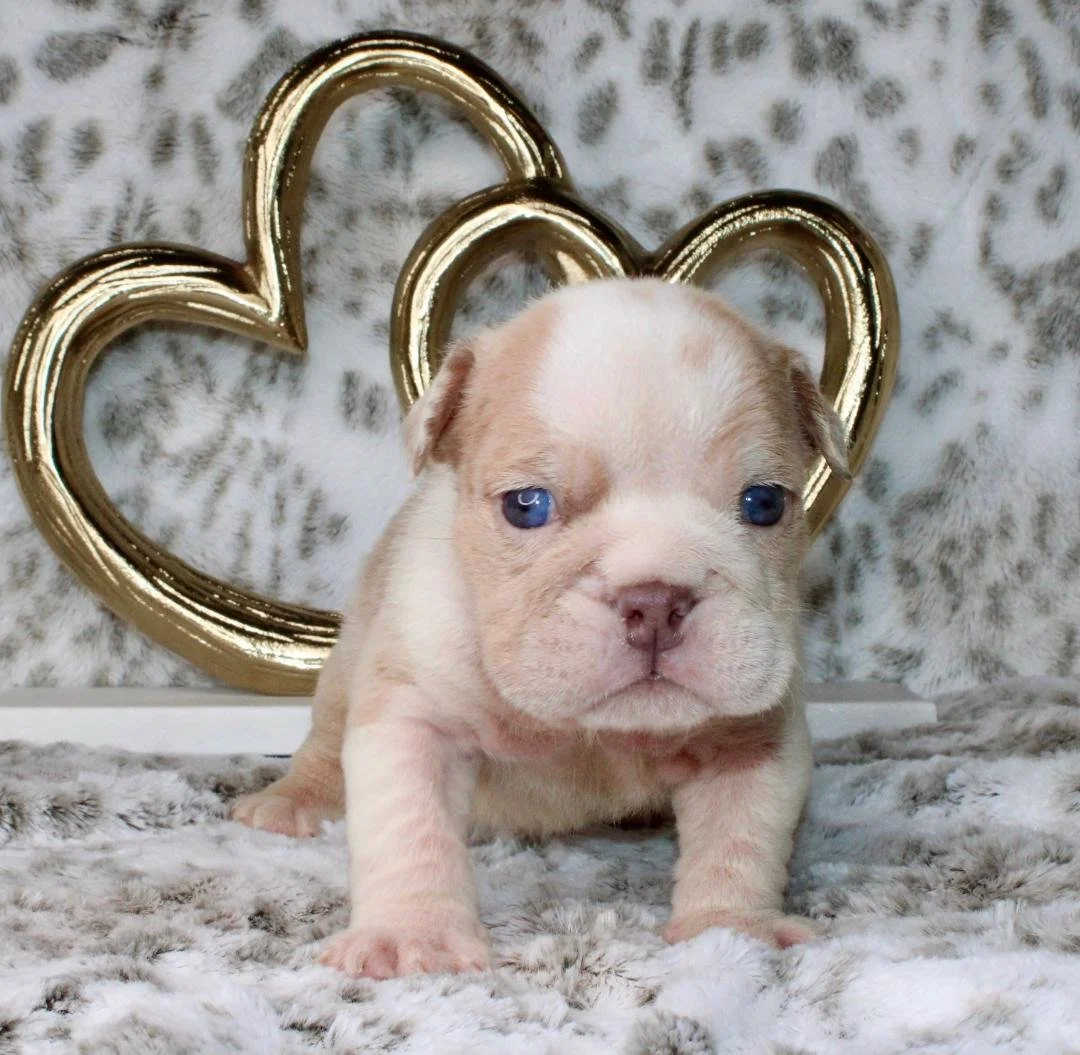 Photo Jan 21 2026, 9 41 19 PM (6).jpg